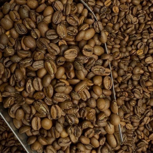 Ефіопія Kaffa, 1 кг в зернах kaffa_s фото