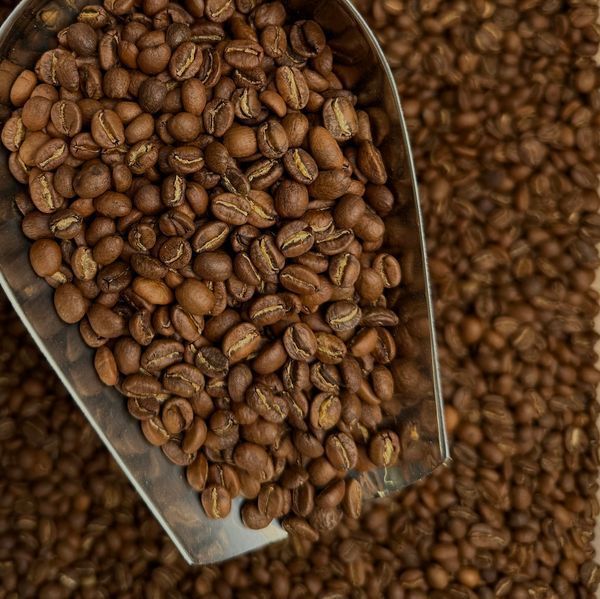 Ефіопія Yirgacheffe Gr2, 1 кг зернова ethiopia_yirgacheffe_s фото
